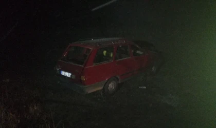 Köpeğe çarpmamak için manevra yapan otomobil tarlaya uçtu: 2 yaralı