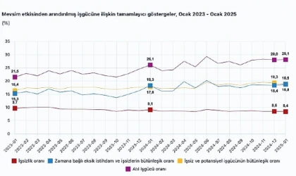 Tüik: Mevsim etkisinden arındırılmış işsizlik oranı %8,4 seviyesinde gerçekleşti