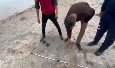 Eğirdir Gölü’nde yasa dışı avcılık yapan 7 kişiye ceza kesildi
