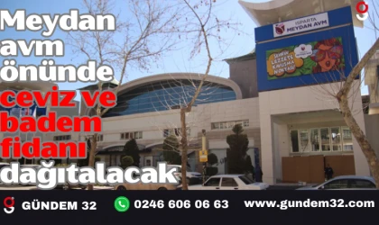 Meydan AVM Önünde Ceviz Ve Badem Fidanı Dağıtılacak