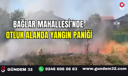 Bağlar Mahallesi’nde Otluk Alanda Yangın Paniği