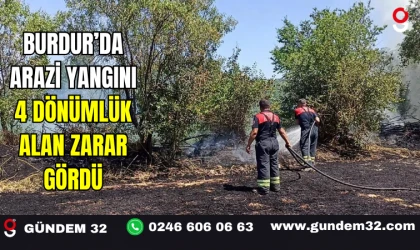 Burdur’da Arazi Yangını: 4 Dönümlük Alan Zarar Gördü