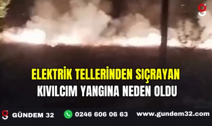 Elektrik Tellerinden Sıçrayan Kıvılcım Yangına Neden Oldu