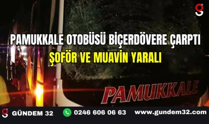Pamukkale Otobüsü Biçerdövere Çarptı Şoför ve Muavin Yaralı