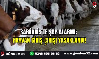 Sarıidris’te Şap Alarmı: Hayvan Giriş-Çıkışı Yasaklandı!