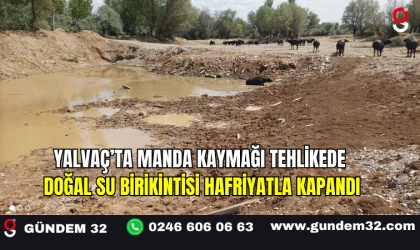 Yalvaç’ta Manda Kaymağı Tehlikede: Doğal Su Birikintisi Hafriyatla Kapandı