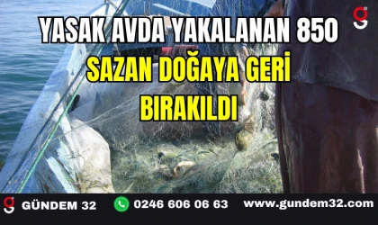 Yasak Avda Yakalanan 850 Sazan Doğaya Geri Bırakıldı