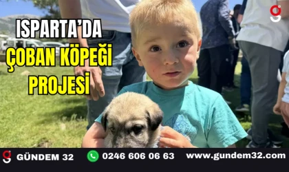 Yetiştiricilere Nöbet Arkadaşı: Isparta’da Çoban Köpeği Projesi