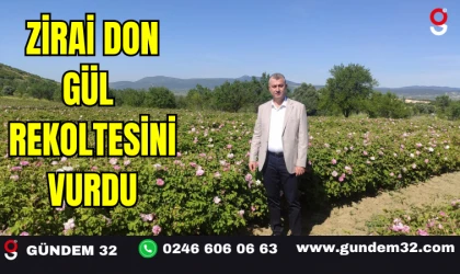 Zirai Don Gül Rekoltesini Vurdu