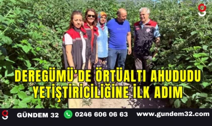 Deregümü’de Örtüaltı Ahududu Yetiştiriciliğine İlk Adım