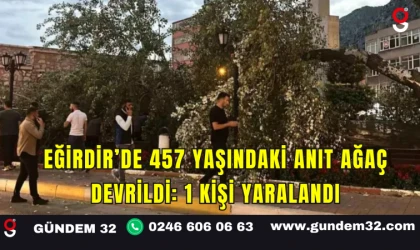 Eğirdir’de 457 Yaşındaki Anıt Ağaç Devrildi: 1 Kişi Yaralandı