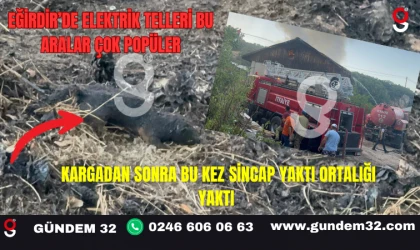 Eğirdir’de Elektrik Telleri Bu Aralar Çok Popüler Kargadan Sonra Bu Kez Sincap Yaktı Ortalığı Yaktı