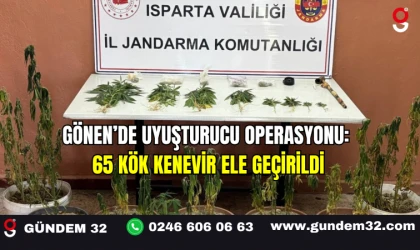 Gönen’de Uyuşturucu Operasyonu: 65 Kök Kenevir Ele Geçirildi
