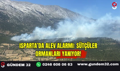 Isparta’da Alev Alarmı: Sütçüler Ormanları Yanıyor!