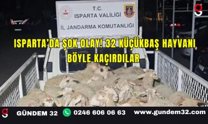 Isparta’da Şok Olay! 32 Küçükbaş Hayvanı Böyle Kaçırdılar