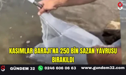 Kasımlar Barajı’na 250 Bin Sazan Yavrusu Bırakıldı