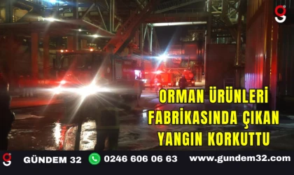 Orman Ürünleri Fabrikasında Çıkan Yangın Korkuttu