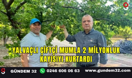 Yalvaçlı Çiftçi Mumla 2 Milyonluk Kayısıyı Kurtardı
