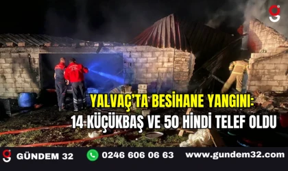 Yalvaç’ta Besihane Yangını: 14 Küçükbaş ve 50 Hindi Telef Oldu