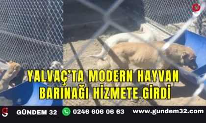 Yalvaç’ta Modern Hayvan Barınağı Hizmete Girdi