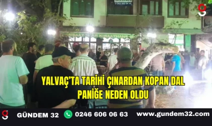 Yalvaç’ta Tarihi Çınardan Kopan Dal Paniğe Neden Oldu