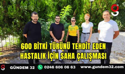 600 Bitki Türünü Tehdit Eden Hastalık İçin Saha Çalışması