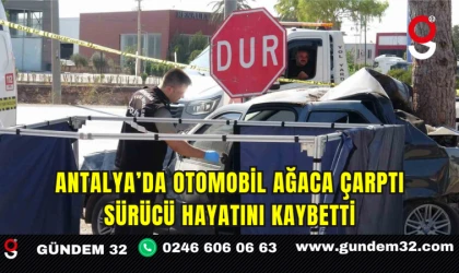Antalya’da Otomobil Ağaca Çarptı Sürücü Hayatını Kaybetti