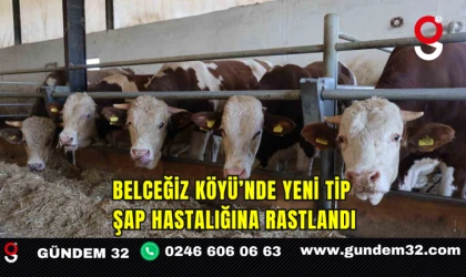 Belceğiz Köyü’nde Yeni Tip Şap Hastalığına Rastlandı
