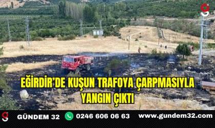 Eğirdir’de Kuşun Trafoya Çarpmasıyla Yangın Çıktı