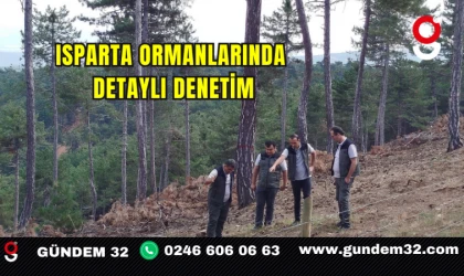 Isparta Ormanlarında Detaylı Denetim