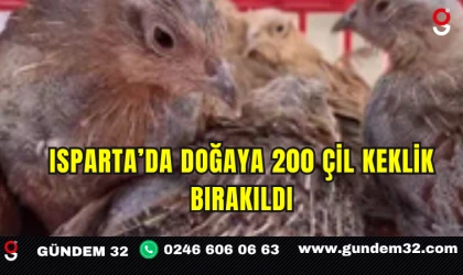 Isparta’da Doğaya 200 Çil Keklik Bırakıldı