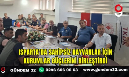 Isparta’da Sahipsiz Hayvanlar İçin Kurumlar Güçlerini Birleştirdi