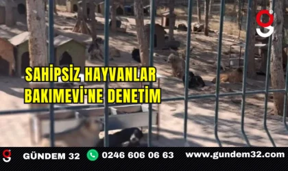 Sahipsiz Hayvanlar Bakımevi'ne Denetim
