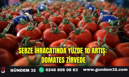 Sebze İhracatında Yüzde 10 Artış: Domates Zirvede