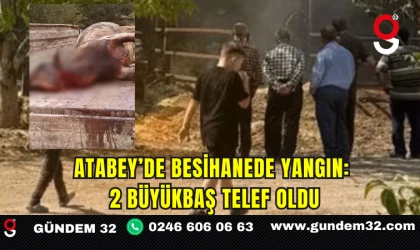 Atabey’de besihanede yangın: 2 büyükbaş telef oldu