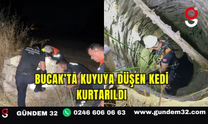 Bucak’ta kuyuya düşen kedi kurtarıldı