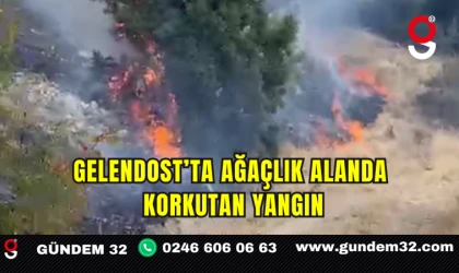 Gelendost’ta Ağaçlık Alanda Korkutan Yangın
