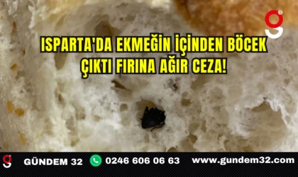 Isparta'da Ekmeğin İçinden Böcek Çıktı Fırına Ağır Ceza!