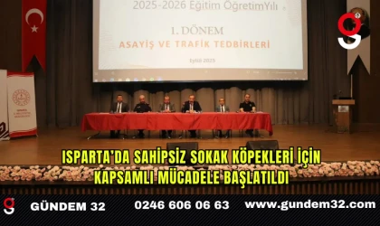 Isparta’da Sahipsiz Sokak Köpekleri İçin Kapsamlı Mücadele Başlatıldı