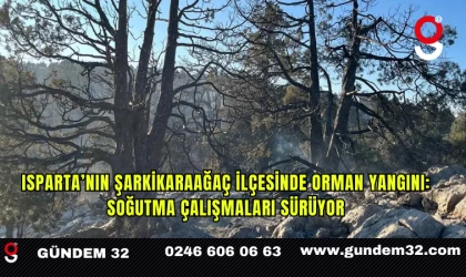 Isparta’nın Şarkikaraağaç ilçesinde orman yangını: Soğutma çalışmaları sürüyor