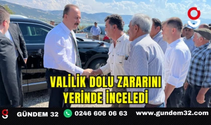 Valilik Dolu Zararını Yerinde İnceledi