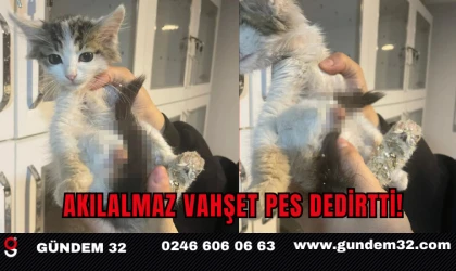 akılalmaz vahşet pes dedirtti