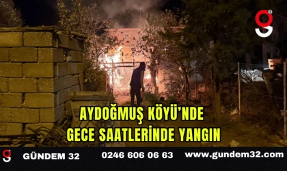 Aydoğmuş Köyü’nde Gece Saatlerinde Yangın