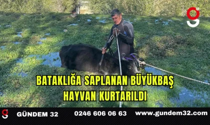 Bataklığa Saplanan Büyükbaş Hayvan Kurtarıldı