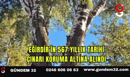 Eğirdir’in 567 Yıllık Tarihi Çınarı Koruma Altına Alındı