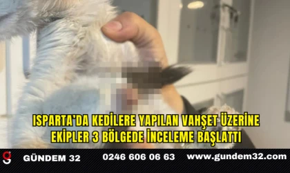 Isparta'da Kedilere Yapılan Vahşet Üzerine Ekipler 3 Bölgede İnceleme Başlattı