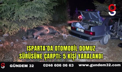 Isparta’da Otomobil Domuz Sürüsüne Çarptı: 5 Kişi Yaralandı