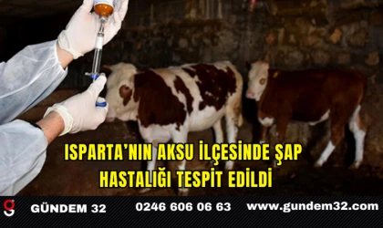 Isparta’nın Aksu İlçesinde Şap Hastalığı Tespit Edildi