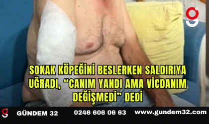 Sokak Köpeğini Beslerken Saldırıya Uğradı, “Canım Yandı Ama Vicdanım Değişmedi” Dedi