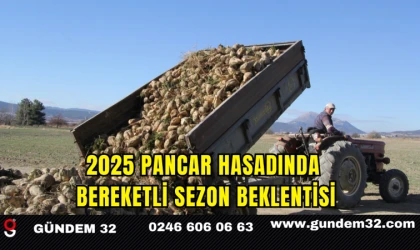 2025 Pancar Hasadında Bereketli Sezon Beklentisi
